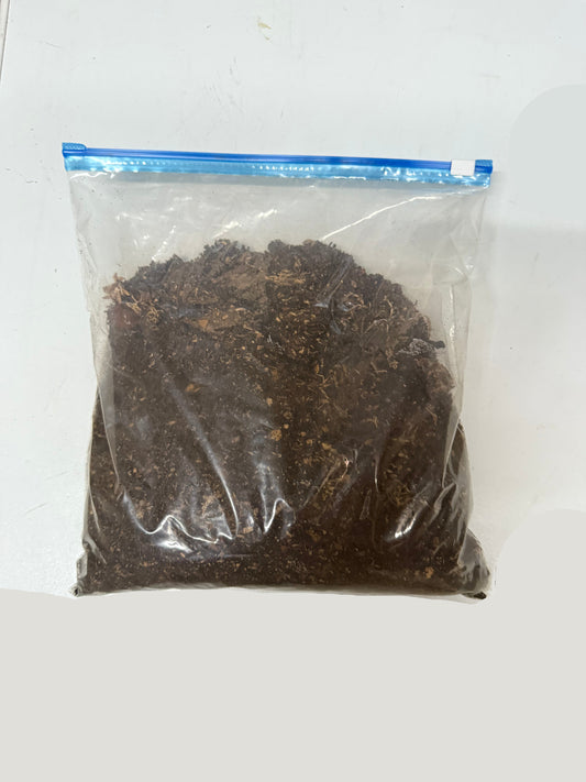 Assel Substrat kaufen Schweiz  terrarium zubehör asseln insekten schaben