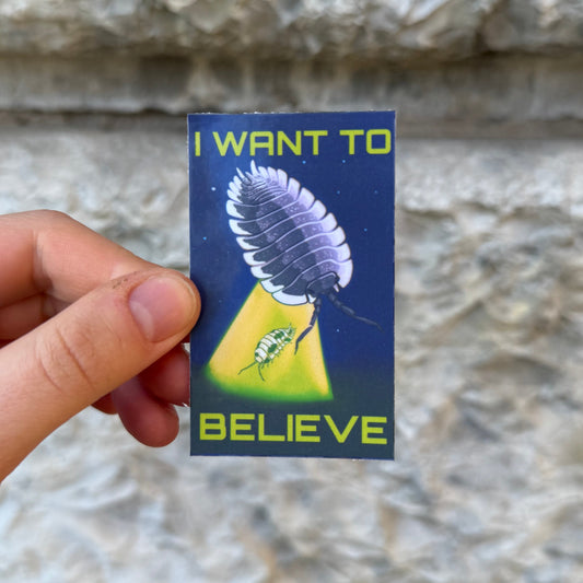 Sticker, „I want to believe“