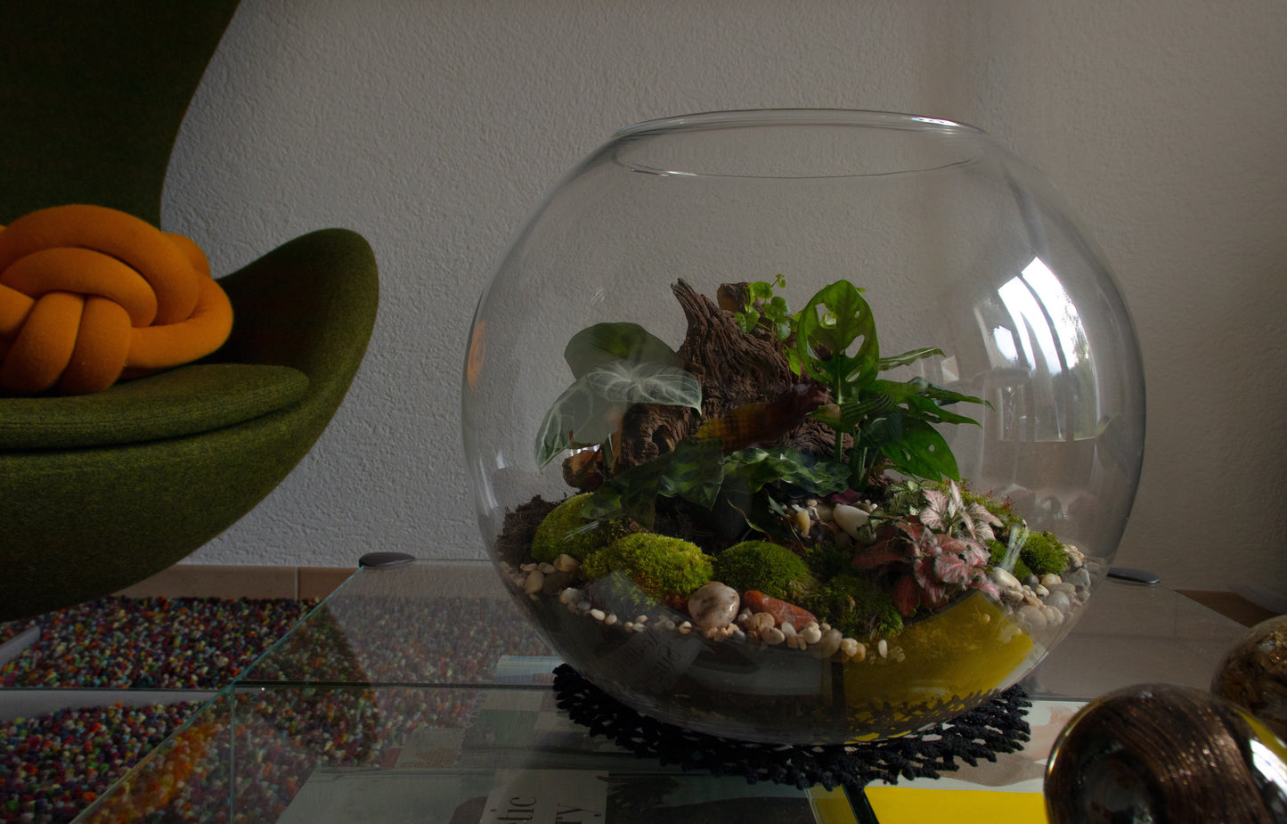 Assel Terrarium XL nach Deinen Wünschen