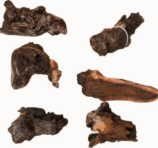 Mopani Holz