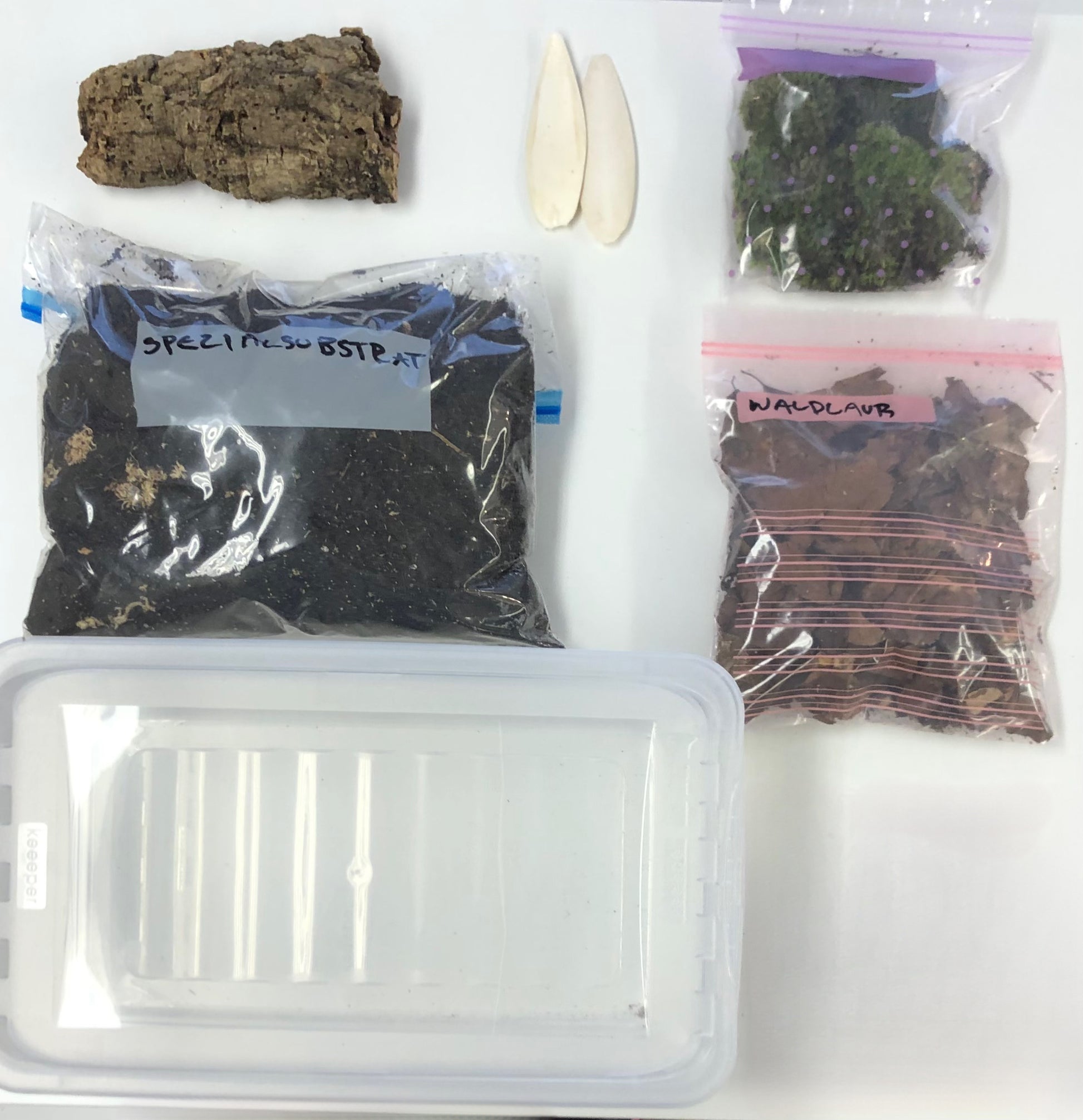 assel starter-set, assel terrarium, assel set, assel substrat, assel box, diy assel box